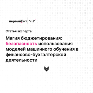 Безопасность использования моделей машинного обучения в финансово-бухгалтерской деятельности на примере БИТ. VBM