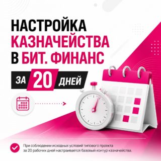 Быстрый запуск казначейства в БИТ.ФИНАНС