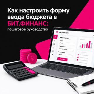 Как настроить форму ввода бюджета в БИТ.ФИНАНС: пошаговое руководство