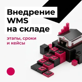 Внедрение WMS-системы на складе: этапы, сроки, окупаемость и два кейса